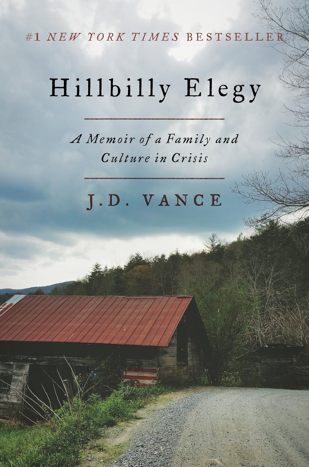 Hillbilly Elegy: A Memoir of a Family and Culture in Crisis - Image 2